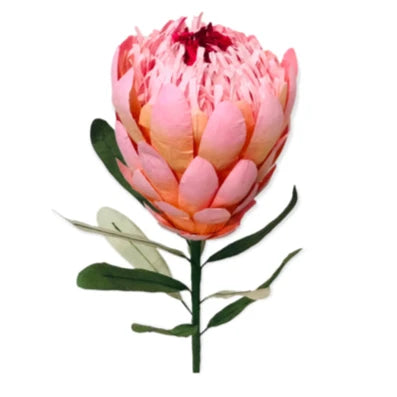 Paper flower by Nibbanah - Princess Protea