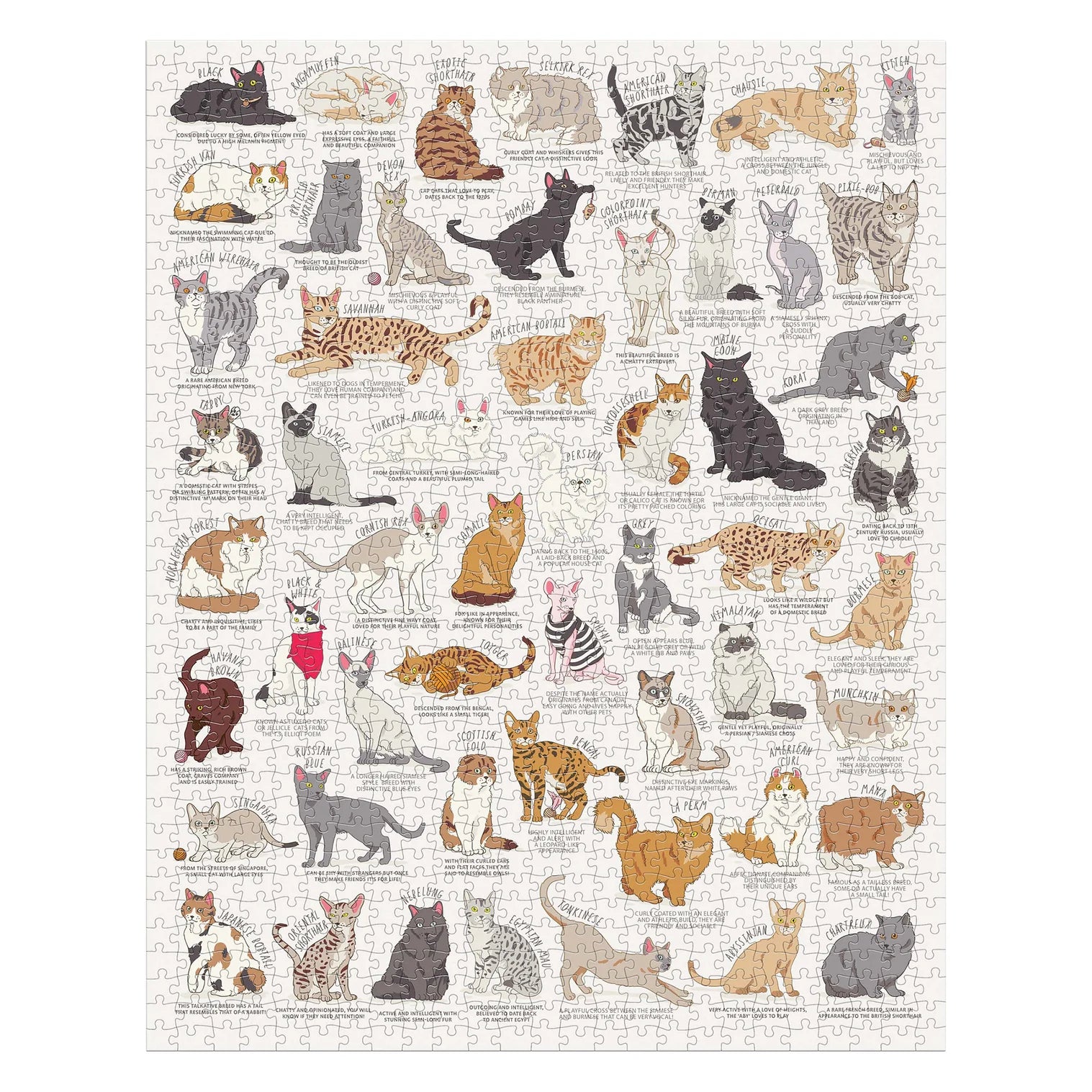 Ridleys Cat Lover's 1000 Piece Jigsaw Puzzle Multi-Coloured by Isalbi