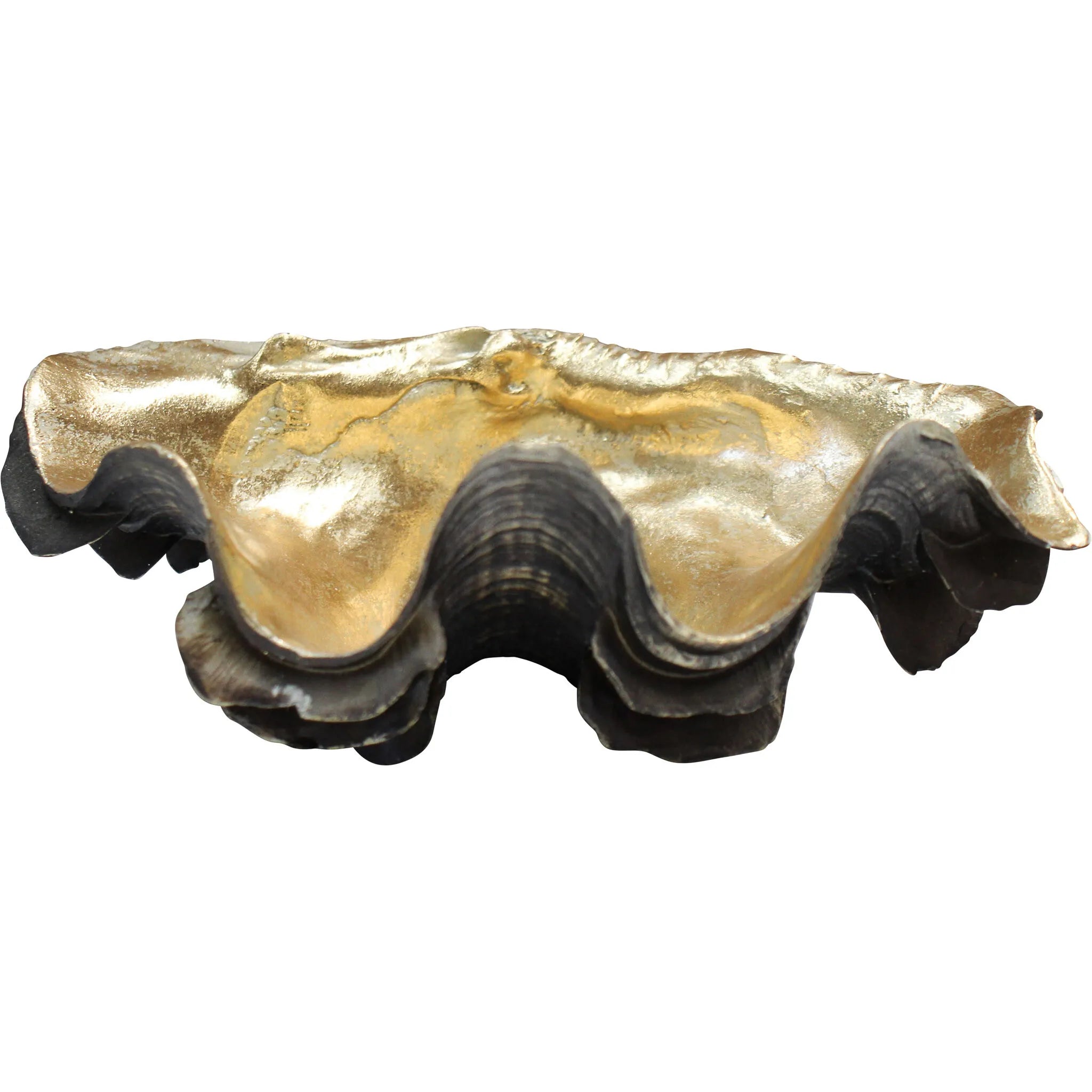 Clam Shell Bahama by Lavida - Gold / Bronze