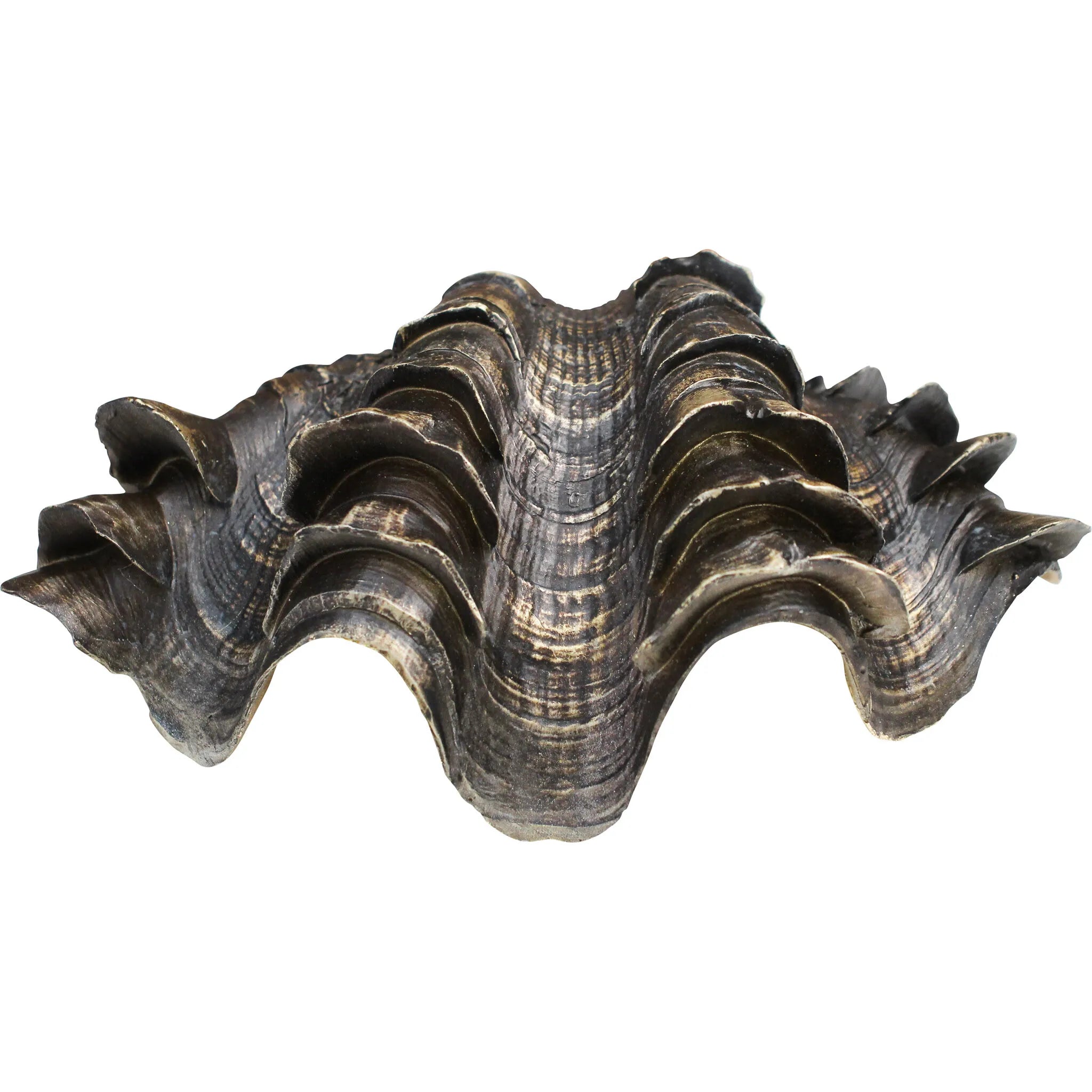Clam Shell Bahama by Lavida - Gold / Bronze