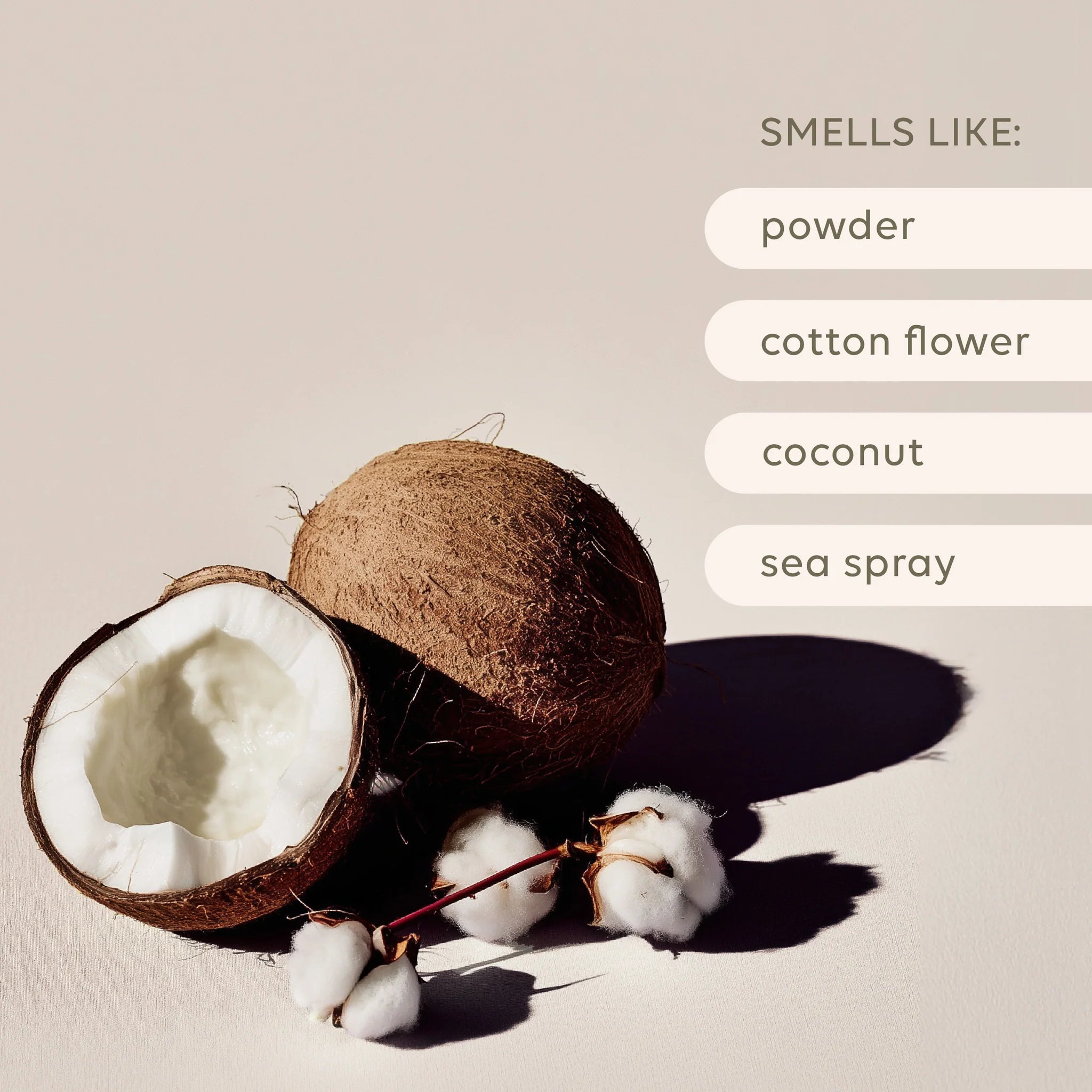 Sea Cotton & Coconut Room Spray• 100ML by Al.ive (Copy)
