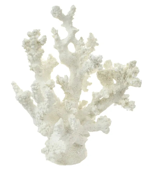 Anenome Coral Resin Sculpture by Coast to Coast - White