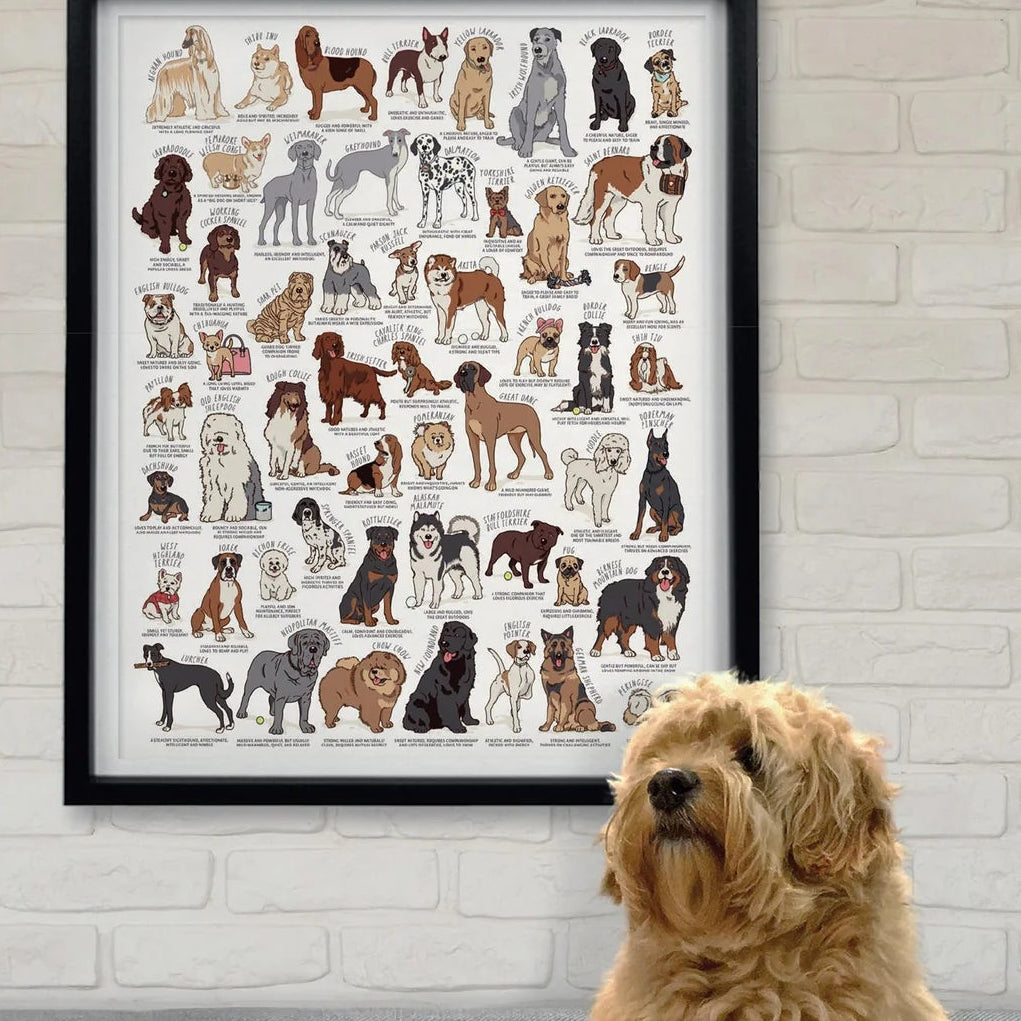 Ridleys Dog Lover's 1000 Piece Jigsaw Puzzle Multi-Coloured by Isalbi