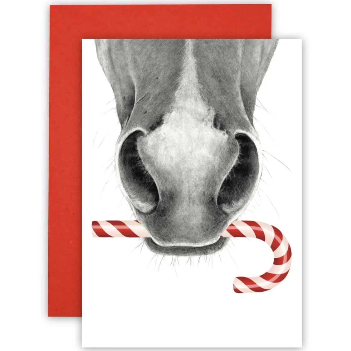 Horse Christmas C6 Card by Cathy Hamilton Artworks
