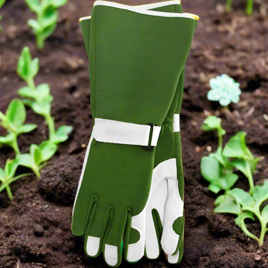 Sprout long sleeve garden glove Olive – HivePortarlington