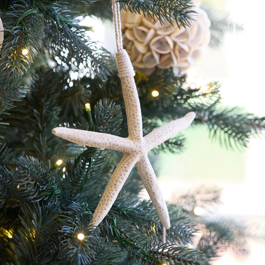Hanging Starfish Ornament by Holly and Ivy