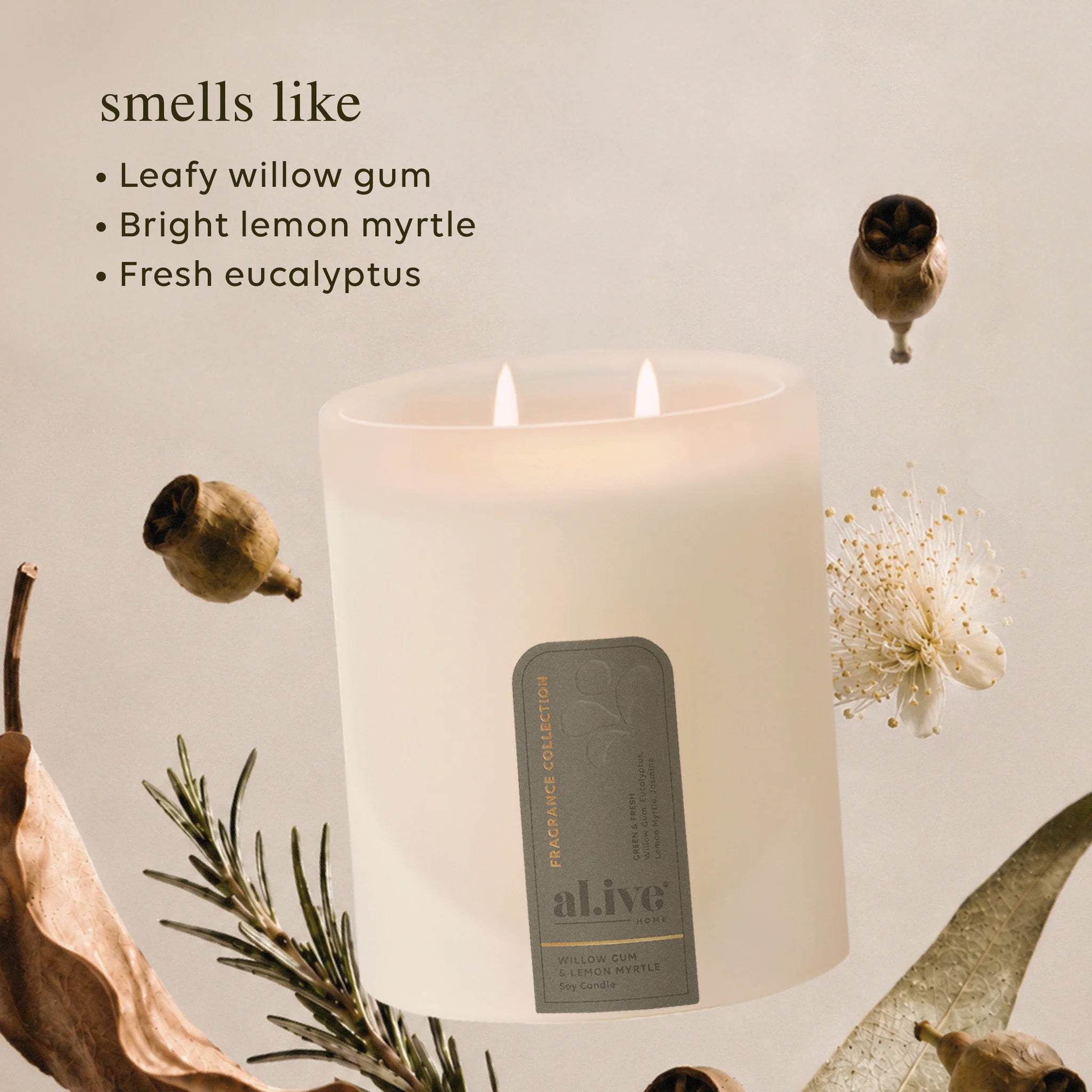 soy candle Willow Gum & Lemon Myrtle by Al.ive
