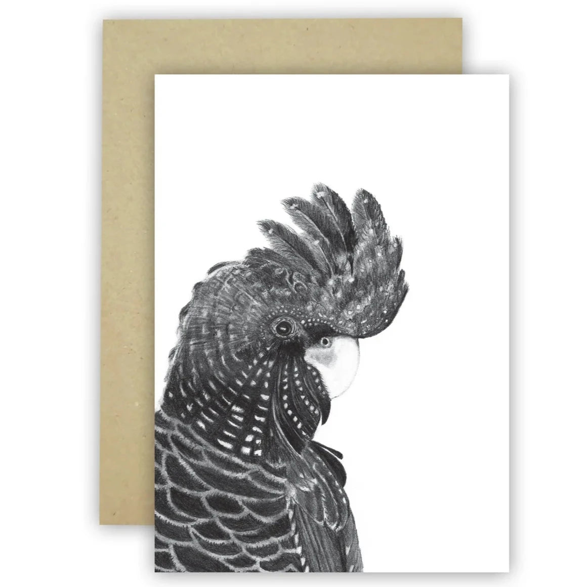 Black Cockatoo C6 Card by Cathy Hamilton Artworks
