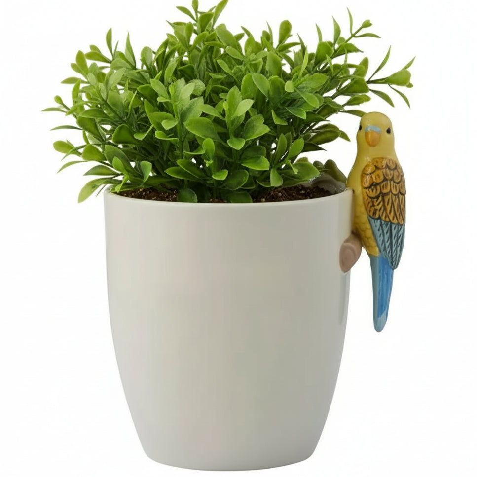 Kylie ceramic pot by Coast to Coast