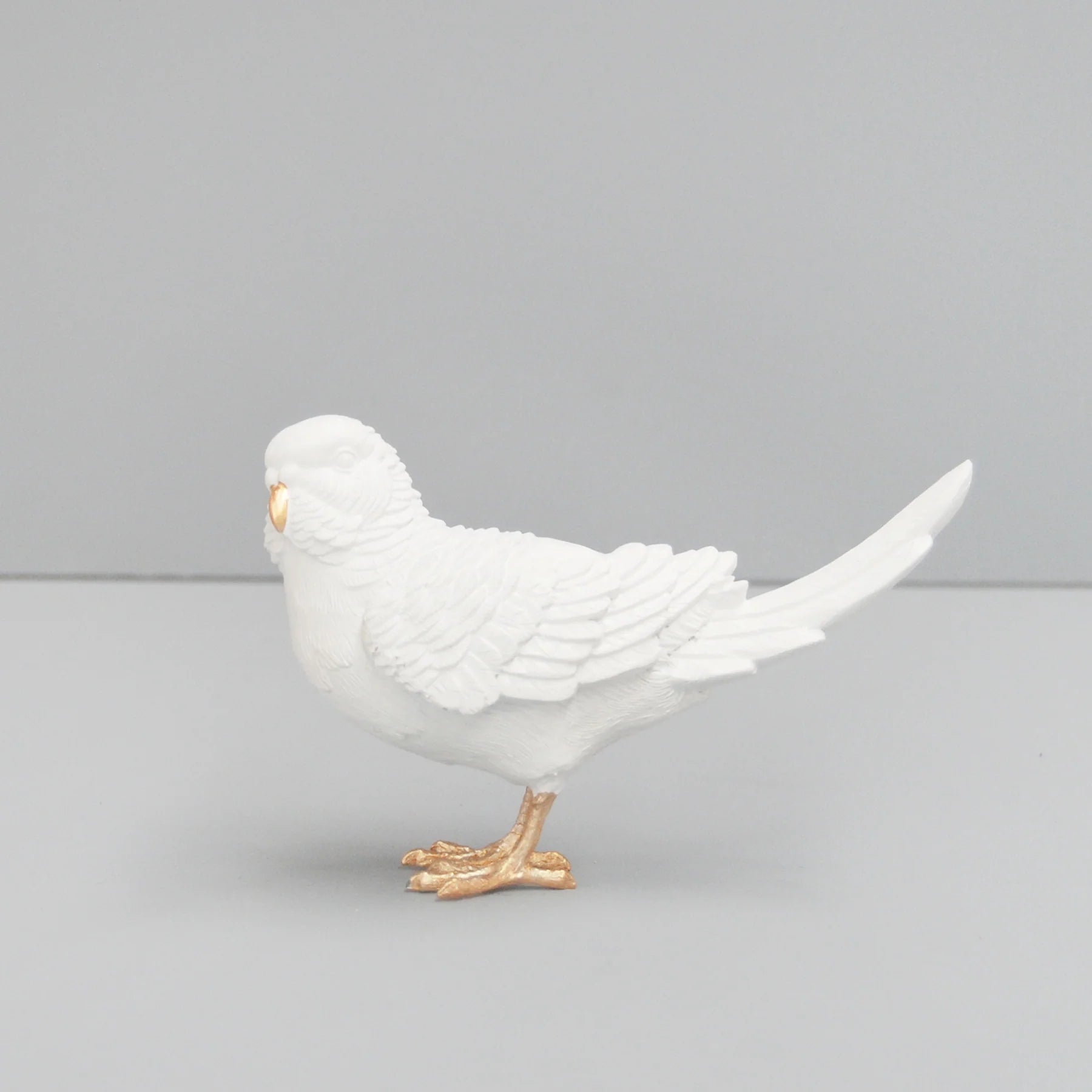 Budgie by White Moose