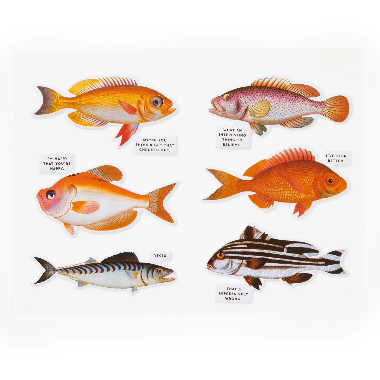 Judgy Fish Puzzle (1000pc) by Brass Monkey