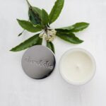 Candle by Olieve & Ollie - Lemongrass & Rosewood