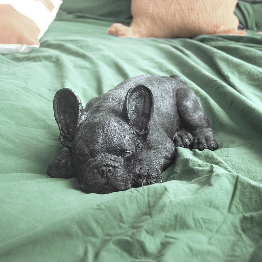 Sleeping Frenchie by White Moose Design - Black
