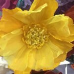 Paper flower by Nibbanah - Moonlight XL